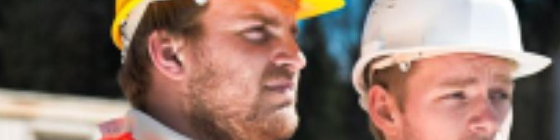 Hoofduitvoerder